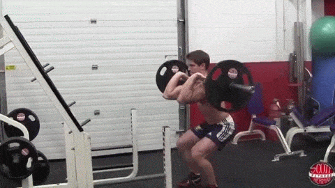 杠铃锻炼方法及图解，5个增肌最好的杠铃力量训练