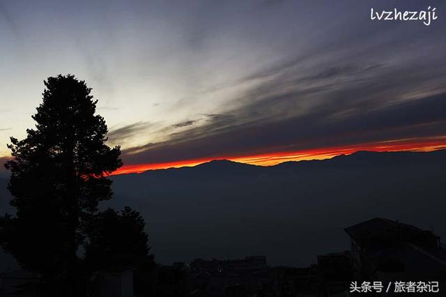 印度大吉岭的红茶，世界红茶著名产地