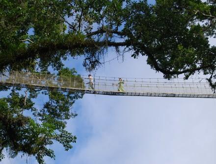 西双版纳勐海古城，品味最具古色古香的网红打卡书院
