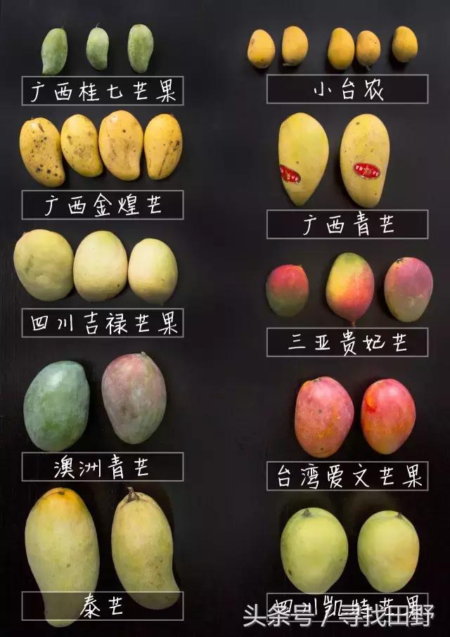 芒果什么品种好吃又甜，芒果测评大全6个产地