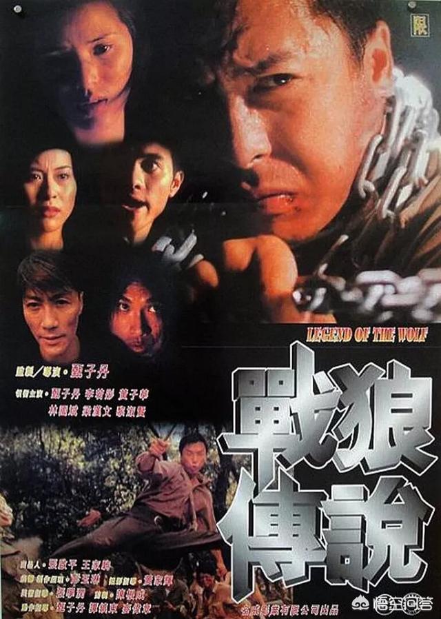 甄子丹主演的電影，甄子丹一共拍過多少部電影（甄子丹官宣三部新片）