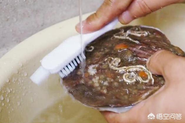 扇贝肉的内脏怎么处理，扇贝肉的正确清理（扇贝肉的做法及扇贝处理的方法）