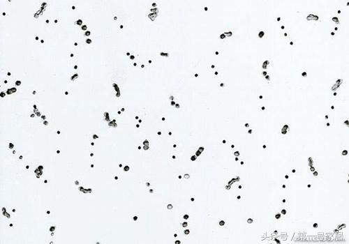 吸音板材质哪种好，吸音板分哪些种类