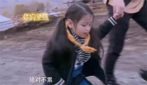 爸爸去哪儿阿拉蕾，爸爸去哪儿第五季董力阿拉蕾回归（还记得《爸爸去哪儿4》里的阿拉蕾吗）