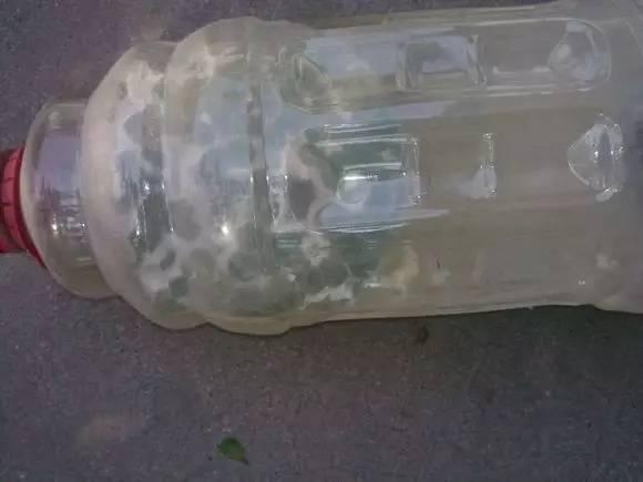 淘米水怎么发酵，用淘米水制作肥料的正确做法（十年老花匠教你学会让淘米水快速发酵的方法）