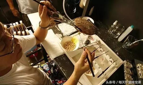 为什么金珍珠价格差异很大，此种珍珠的价格是黄金的10倍