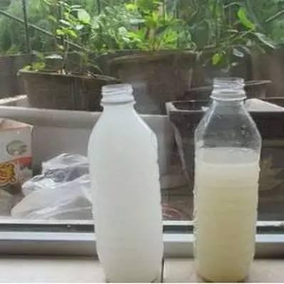 淘米水怎么发酵，用淘米水制作肥料的正确做法（十年老花匠教你学会让淘米水快速发酵的方法）