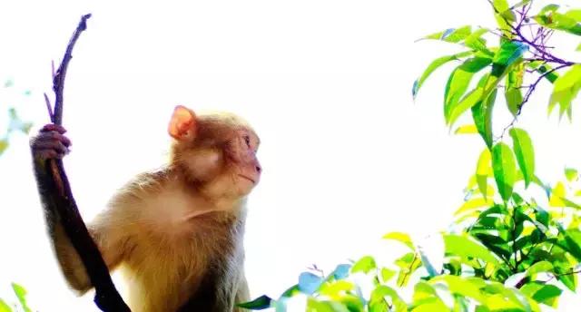 飞阁，桂平西山的地址