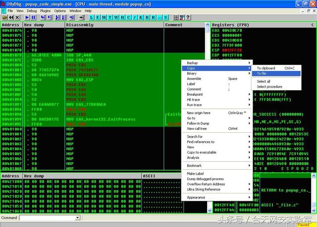 漏洞原理分析，“心脏出血”制造致命内伤