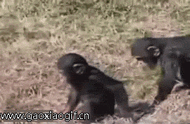 马桶塞吸盘怎么通马桶，教你5个解决方法