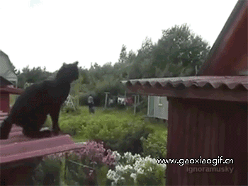 马桶塞吸盘怎么通马桶，教你5个解决方法