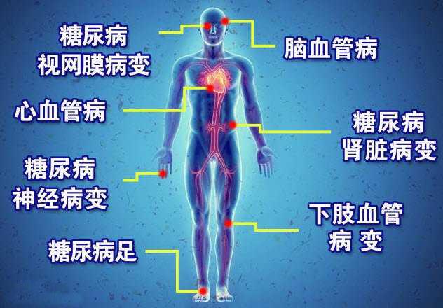 番茄鸡蛋面糖尿病(西红柿鸡蛋面升糖指数)