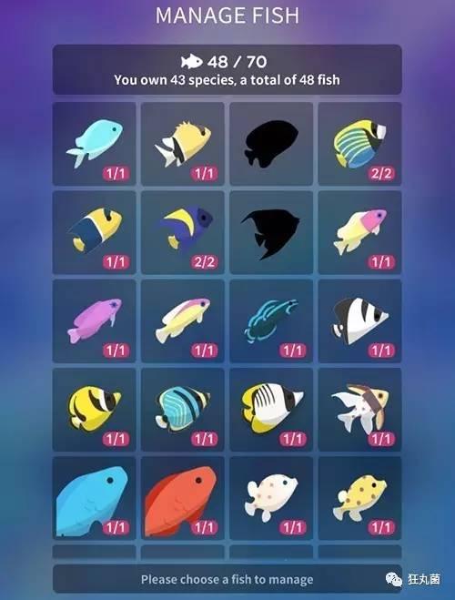 全球最好看水族馆，<三>南非德班UShaka海洋世界