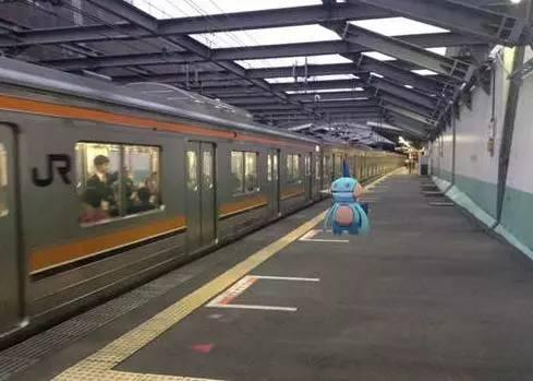 沼跃鱼多久升级，看穿一切的沼跃鱼到底经历了什么