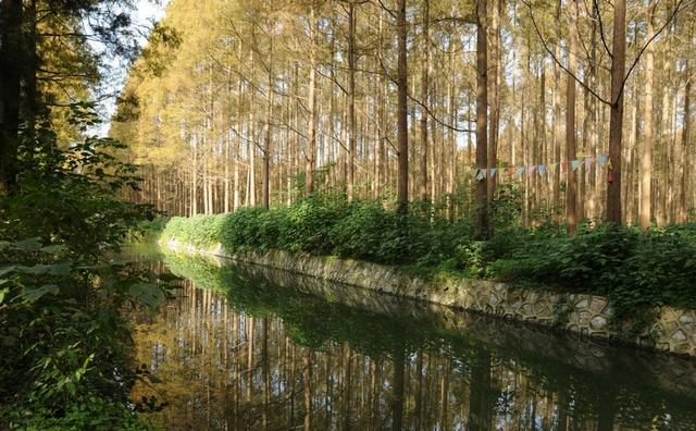 湖北有几个地级市，湖北省13个地级市排名（对湖北省行政区划的分析）