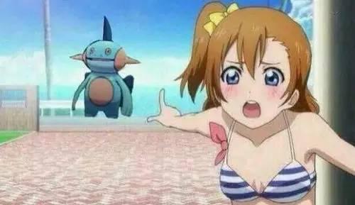 沼跃鱼多久升级，看穿一切的沼跃鱼到底经历了什么