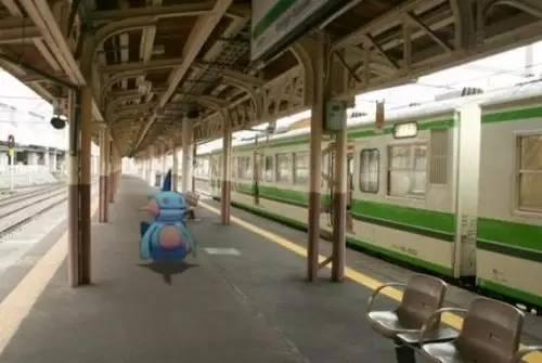 沼跃鱼多久升级，看穿一切的沼跃鱼到底经历了什么