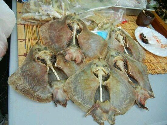 十种奇葩食物排行，奇葩食物排行榜亚洲篇