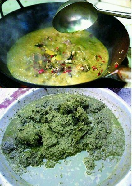 十种奇葩食物排行，奇葩食物排行榜亚洲篇