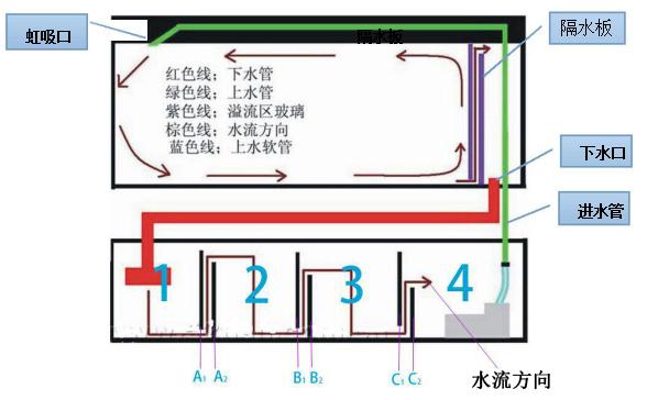滤材，鱼缸里的滤材真那么重要吗