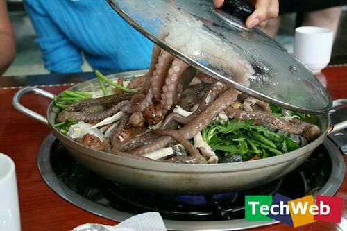 十种奇葩食物排行，奇葩食物排行榜亚洲篇