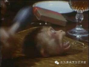 十种奇葩食物排行，奇葩食物排行榜亚洲篇