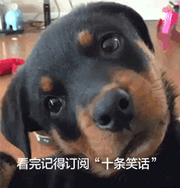 平安夜你咋不吃圣诞树呢，圣诞节最佳笑话