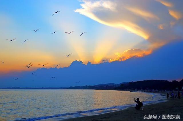 秦皇岛市区有几家大学，河北著名的海滨城市秦皇岛