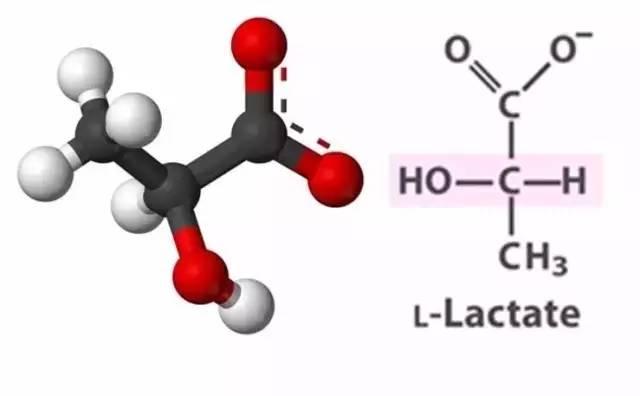 排酸跑到底好不好，无锡马提醒3万名跑者排酸