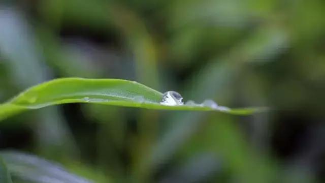 一元复始万象更新的开场，超高级的开场白，分季节整理