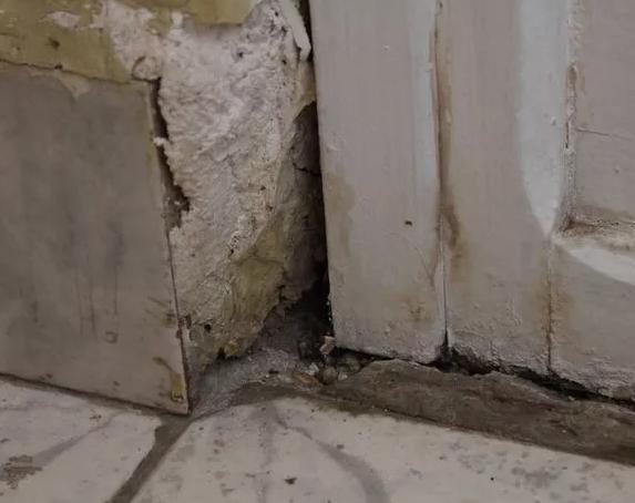 驱赶老鼠最有效方法，老鼠怎么驱赶最有效（乡下奶奶教我一个方法）