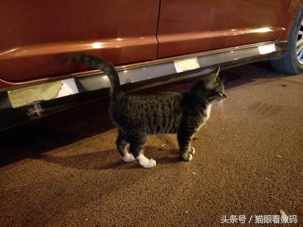 oppo r9s plus有什么优点和缺点，我入手了安卓新旗舰