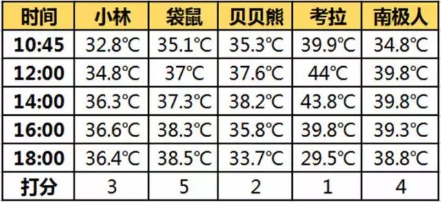 最好用的暖宝宝，5款暖宝宝走心测评