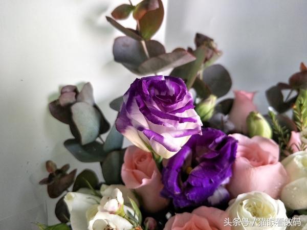 oppo r9s plus有什么优点和缺点，我入手了安卓新旗舰