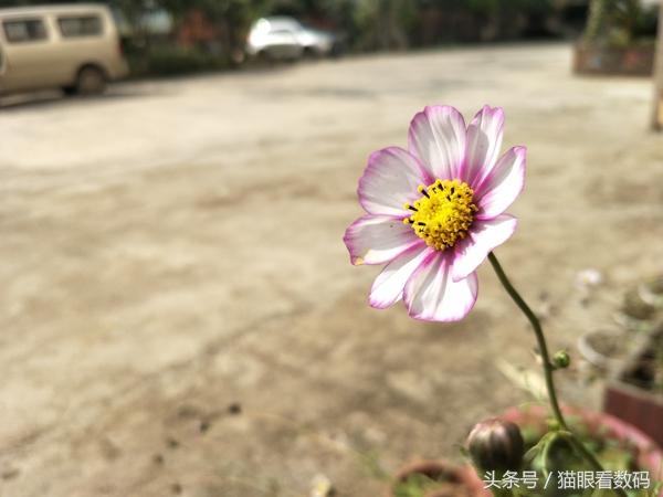 oppo r9s plus有什么优点和缺点，我入手了安卓新旗舰