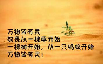 现代诗歌赏析10篇，精选现代诗歌20首