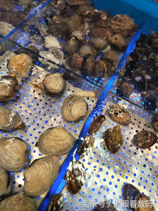 oppo r9s plus有什么优点和缺点，我入手了安卓新旗舰