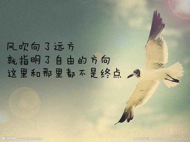 现代诗歌赏析10篇，精选现代诗歌20首