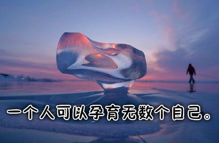 现代诗歌赏析10篇，精选现代诗歌20首