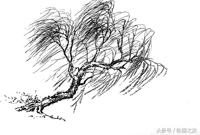 画柳树的画法，山水画中柳树的画法