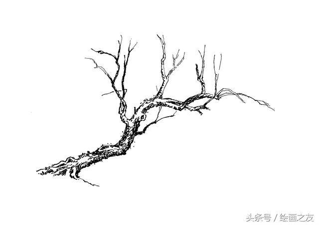 画柳树的画法，山水画中柳树的画法