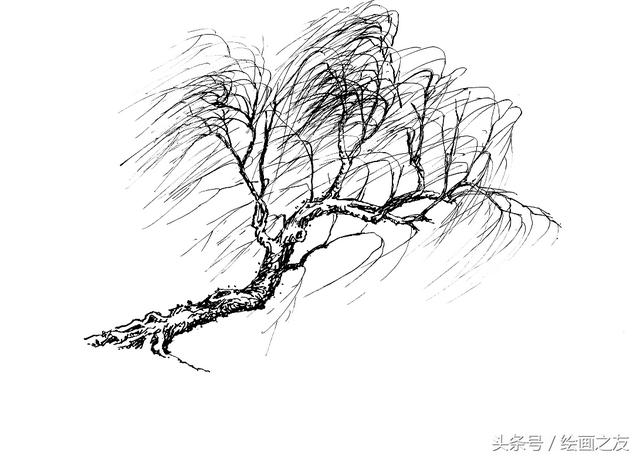 画柳树的画法，山水画中柳树的画法