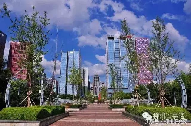 柳州车牌有哪些，柳州你就是个B难怪车牌叫桂B