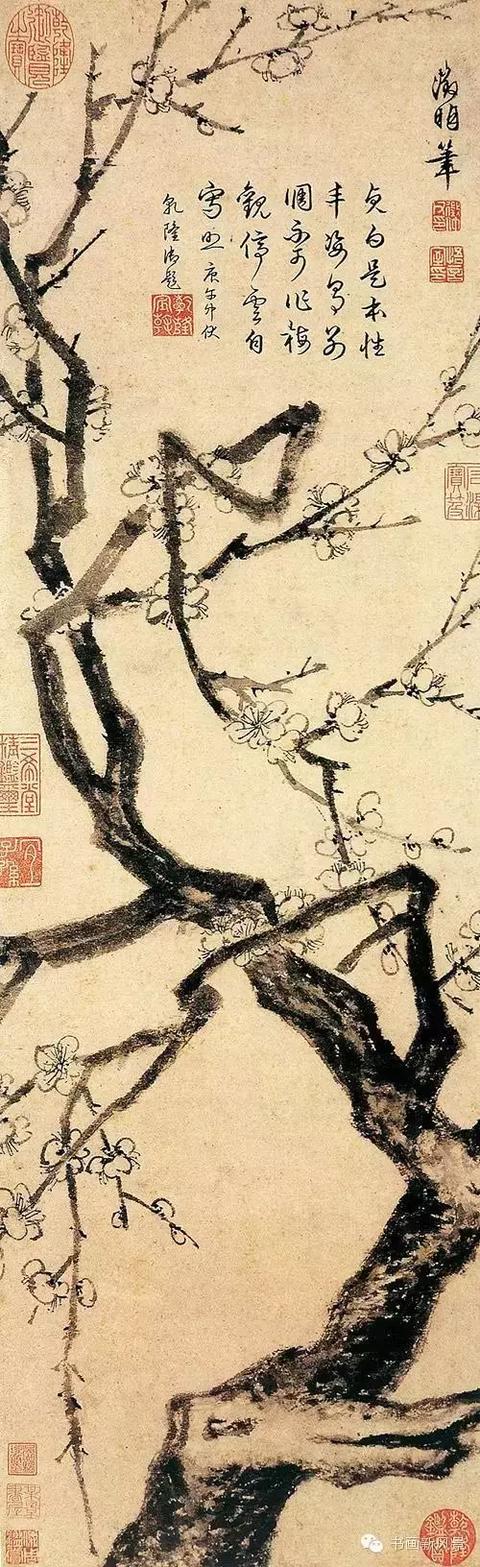 梅花十大经典诗句，写尽梅花傲雪风骨