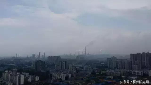 柳州车牌有哪些，柳州你就是个B难怪车牌叫桂B