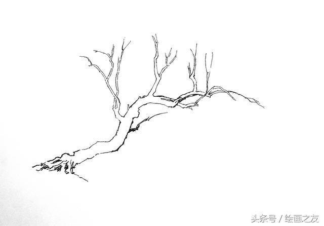 画柳树的画法，山水画中柳树的画法
