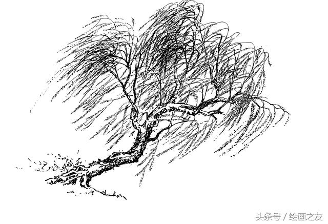 画柳树的画法，山水画中柳树的画法