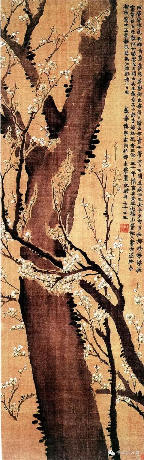 梅花十大经典诗句，写尽梅花傲雪风骨