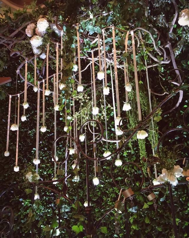 xoxo呛口小辣椒，猴子喂魔鬼辣椒（对比图觉得不是同一个人吧）