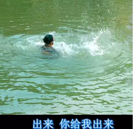 西游降魔篇的票房，大话西游和西游降魔的关系（春节档见证中国电影历史性时刻）